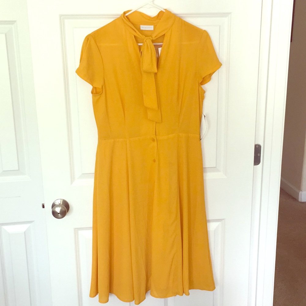 NWT New York & Company Eva Mendes ✨ - Yellow Dress